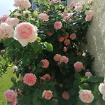 Residenz Schloss Rosenau