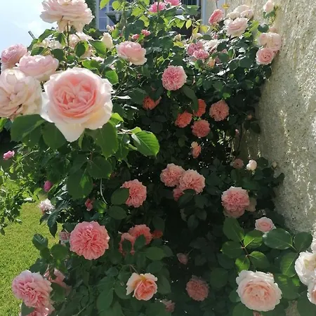 Residenz Schloss Rosenau